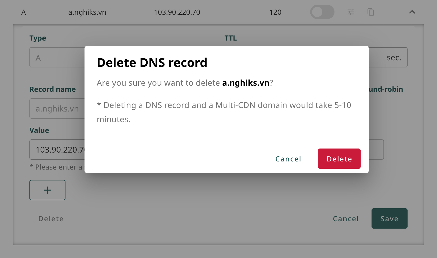 DNS record deletion interface