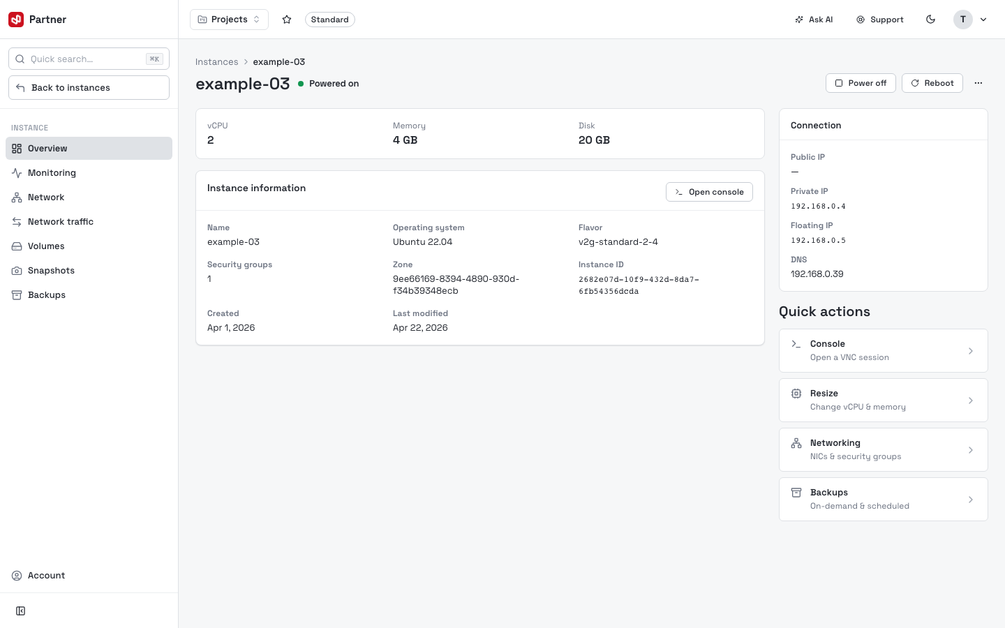 Instance detail — Overview