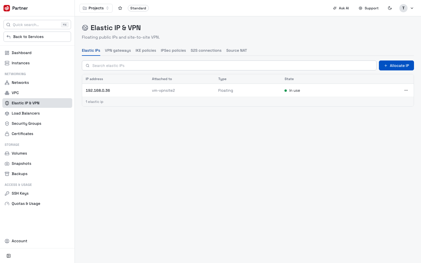 Elastic IPs