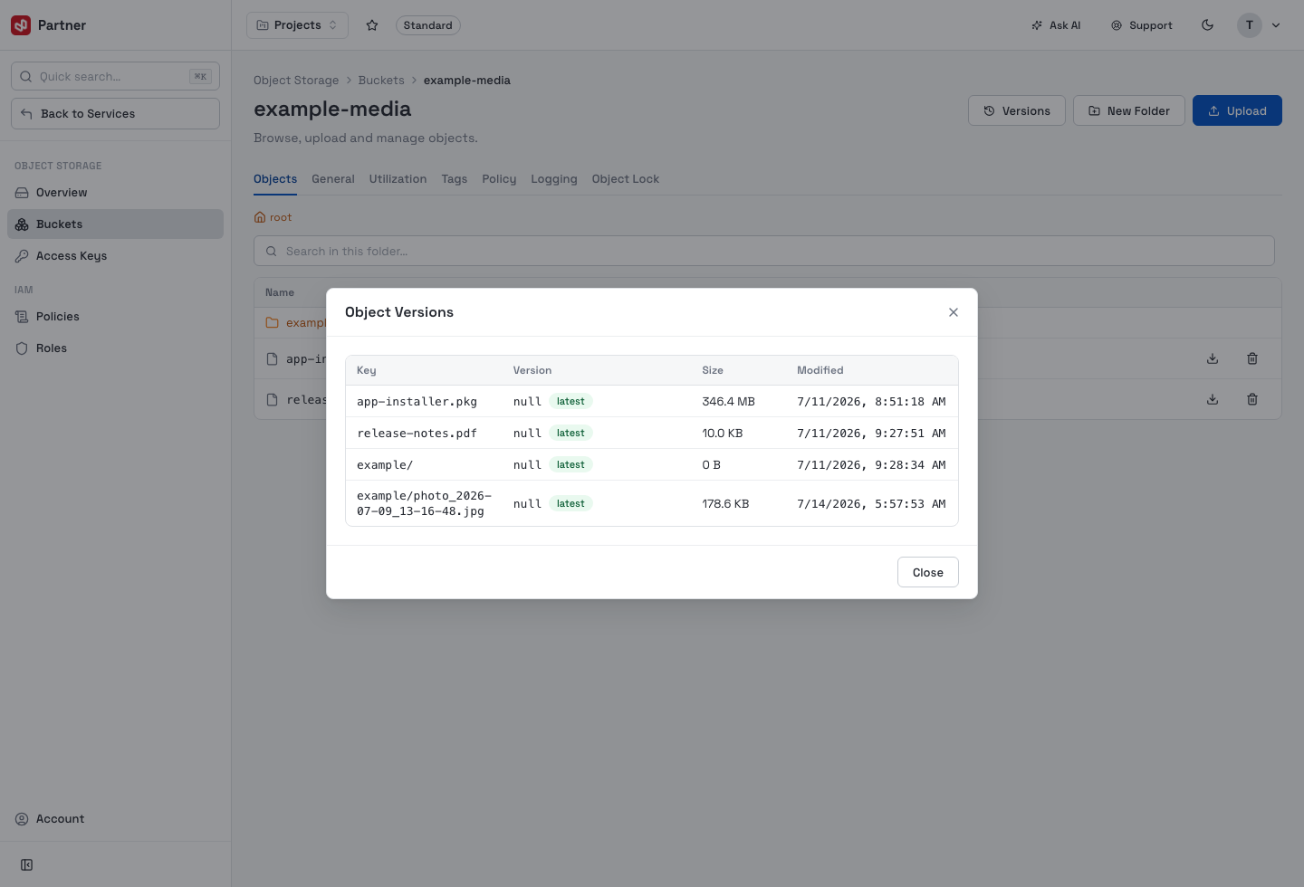 Object versions